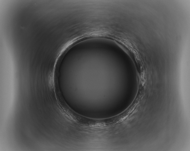 X0000113780196200909231322