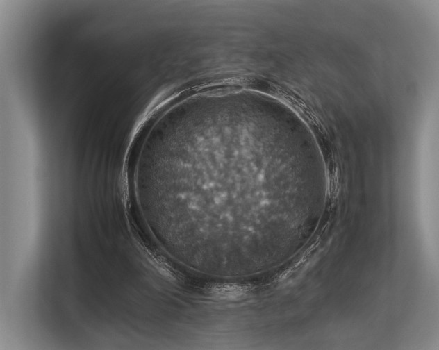 X0000113780198200909231322