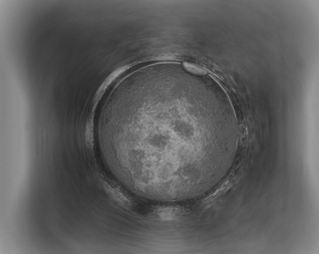 X0000113780200200909231322