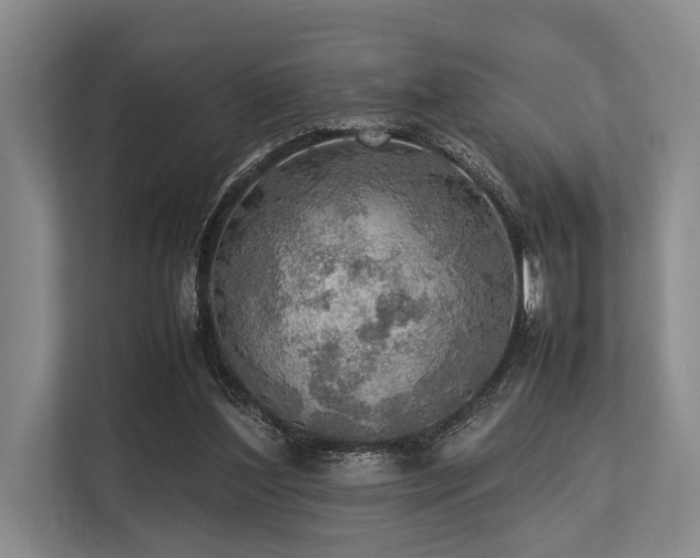 X0000113780204200909231322