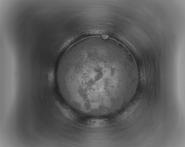 X0000113780208200909231322
