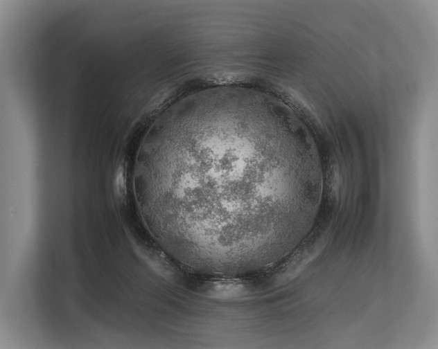 X0000113780214200909231322