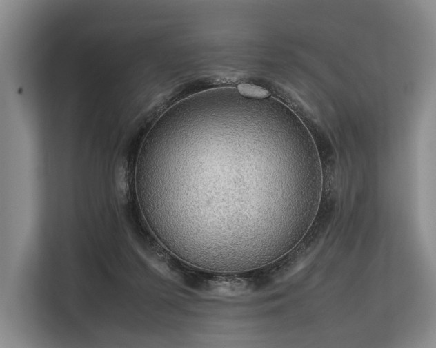 X0000113780215200909231322