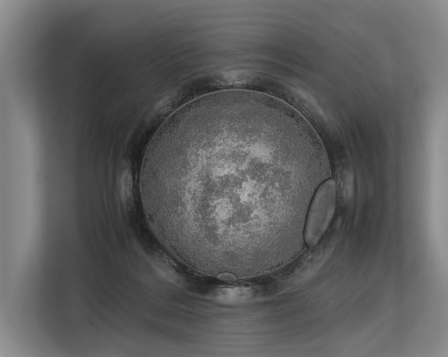 X0000113780220200909231322