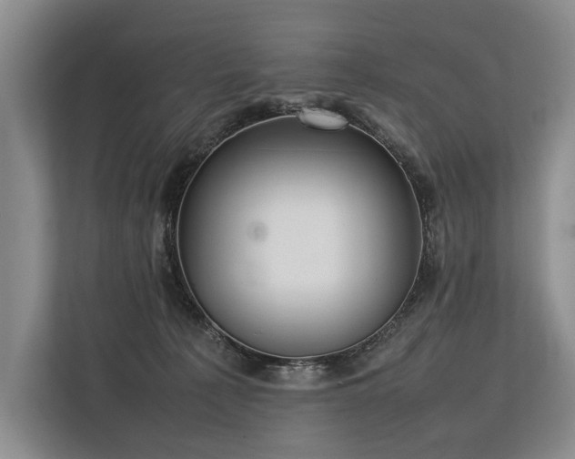 X0000113780225200909231322