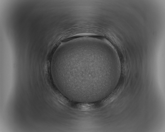 X0000113780229200909231322