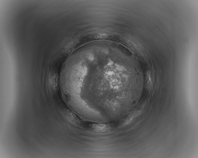 X0000113780230200909231322