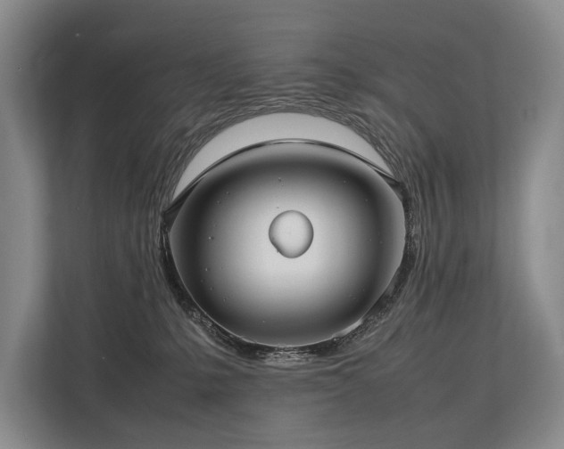 X0000113780231200909231322