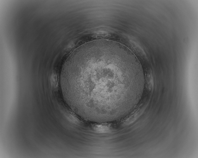 X0000113780232200909231322