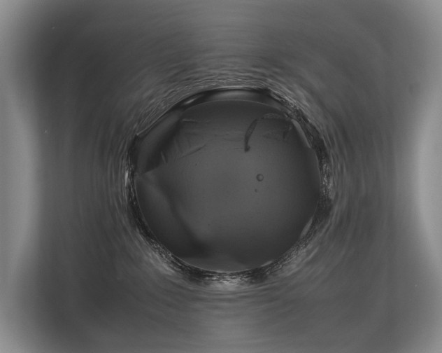 X0000113780235200909231322