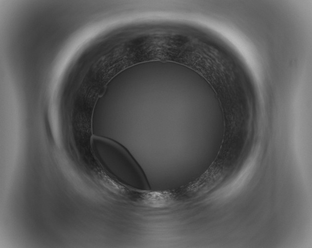 X0000113780239200909231322