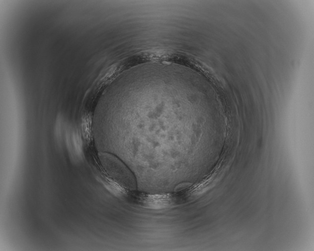 X0000113780240200909231322