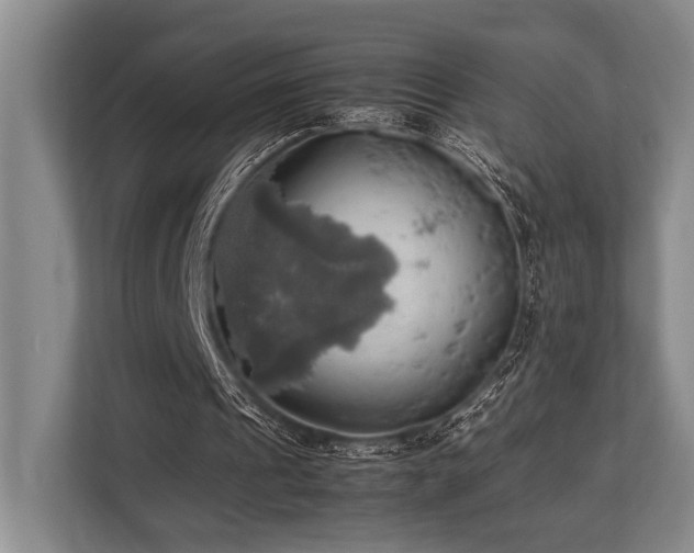 X0000113780241200909231321
