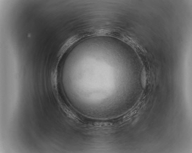 X0000113780242200909231321