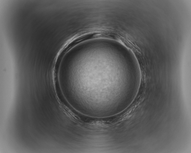 X0000113780244200909231321