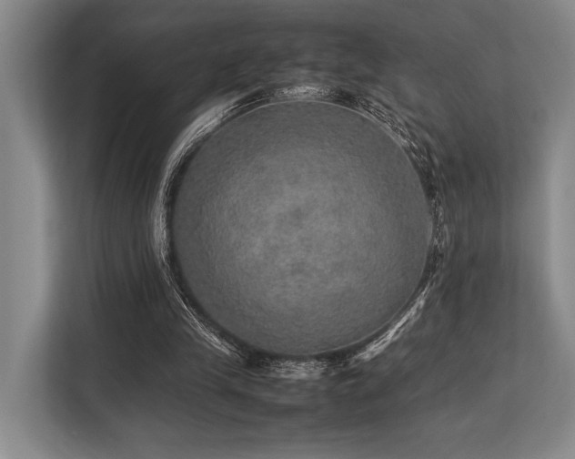 X0000113780245200909231321