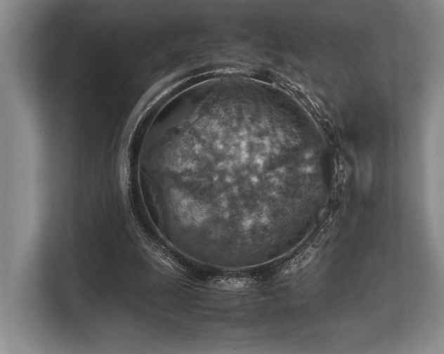 X0000113780247200909231321