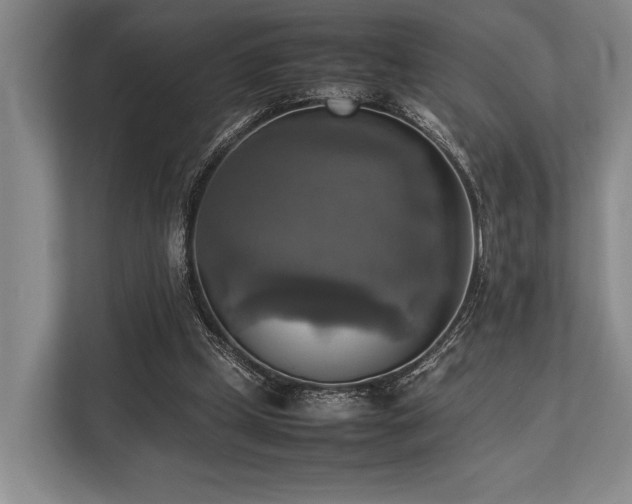 X0000113780249200909231321