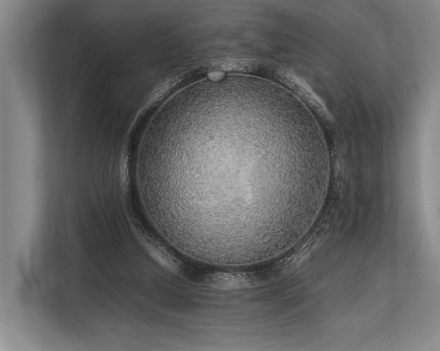 X0000113780250200909231321