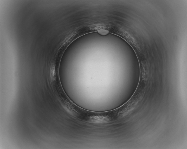 X0000113780251200909231321