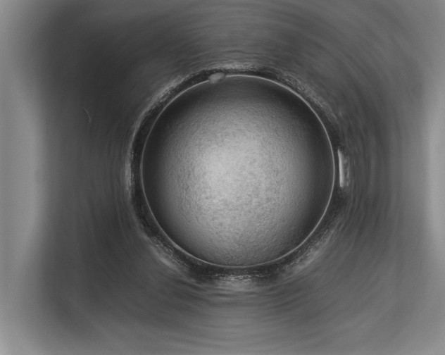 X0000113780252200909231321