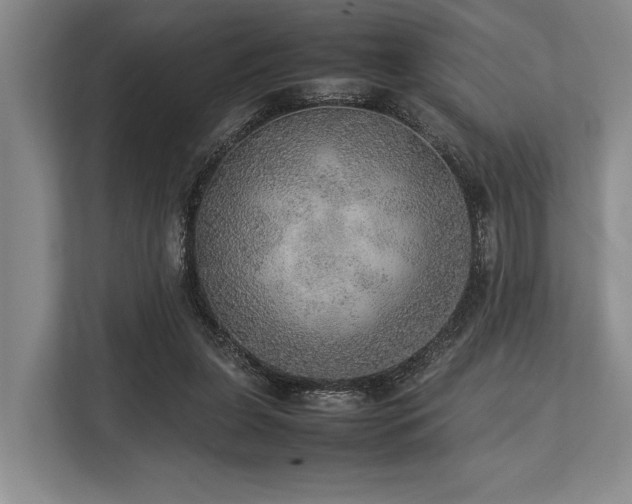 X0000113780255200909231321