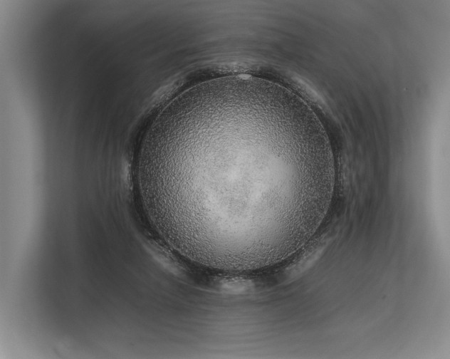 X0000113780258200909231321