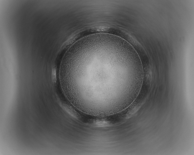 X0000113780262200909231321