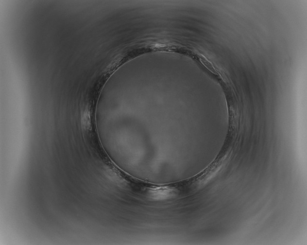 X0000113780269200909231321