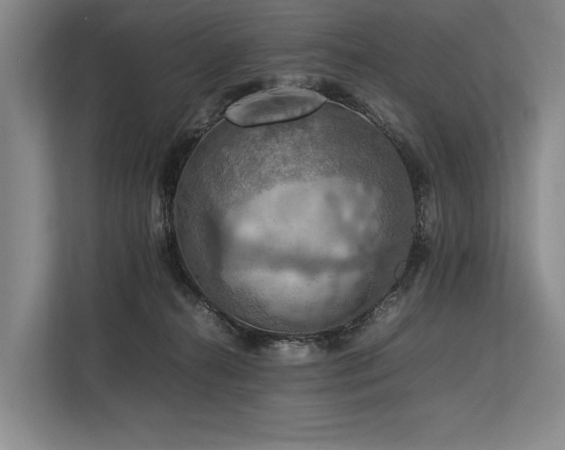 X0000113780272200909231321