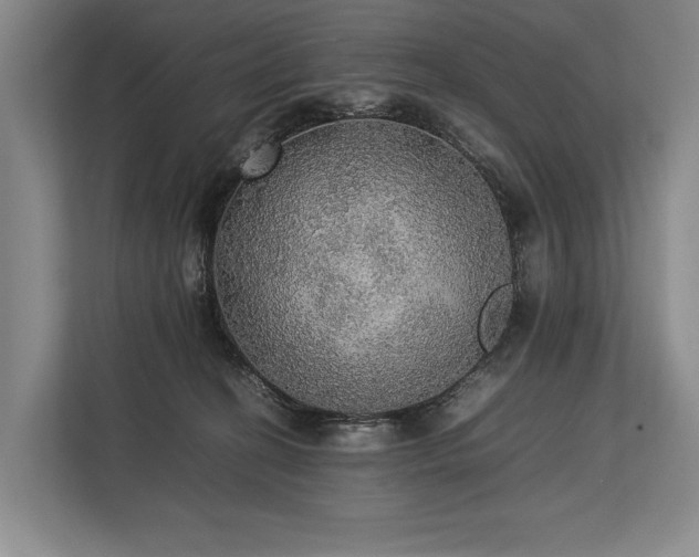 X0000113780274200909231322