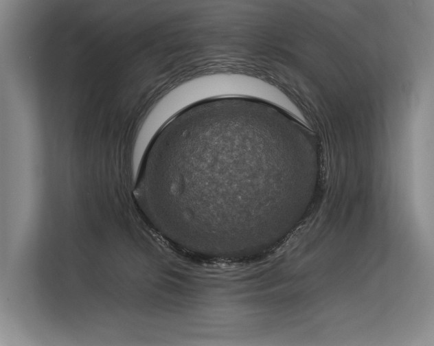 X0000113780276200909231322