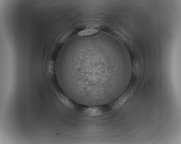 X0000113780280200909231322