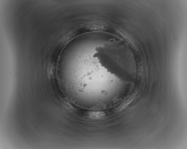 X0000113780281200909231322