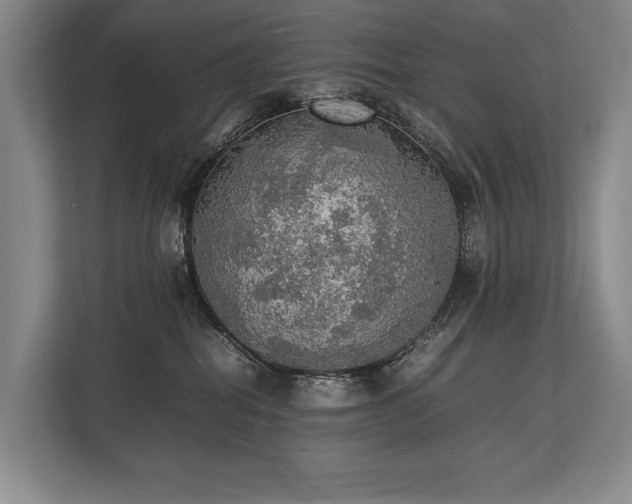 X0000113780282200909231322