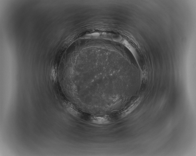 X0000113780285200909231322