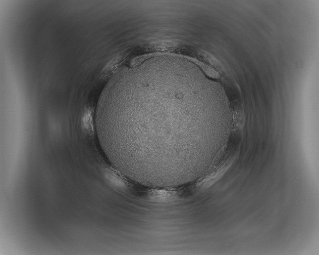 X0000113780286200909231322