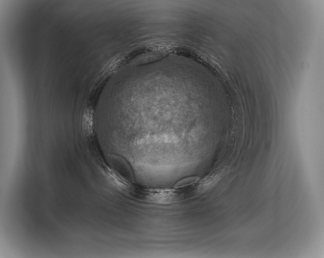 X0000113780288200909231322