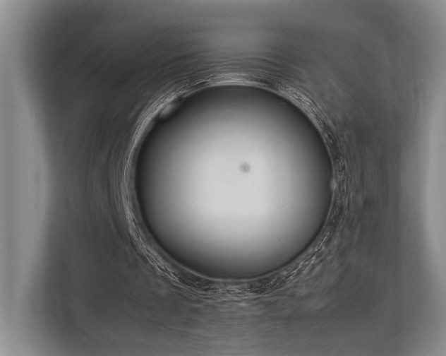 X0000113780289200909231321