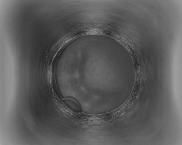 X0000113780290200909231321