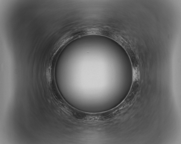 X0000113780291200909231321