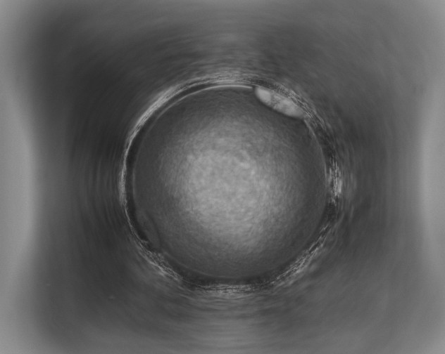 X0000113780292200909231321