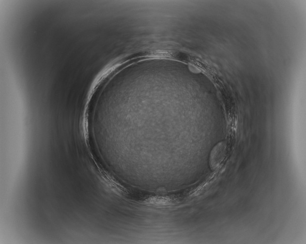 X0000113780294200909231321