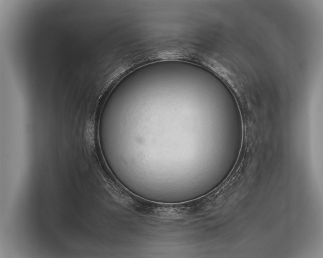 X0000113780297200909231321