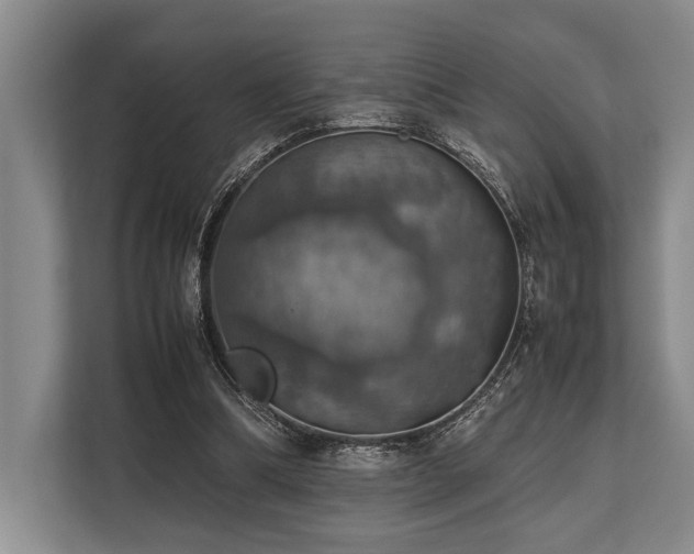 X0000113780298200909231321