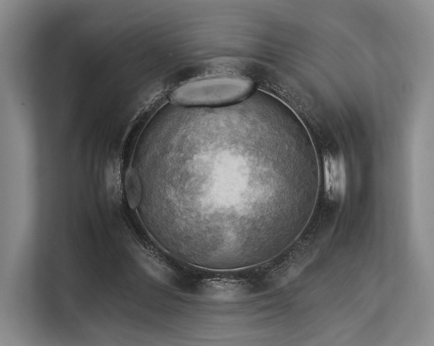 X0000113780300200909231321