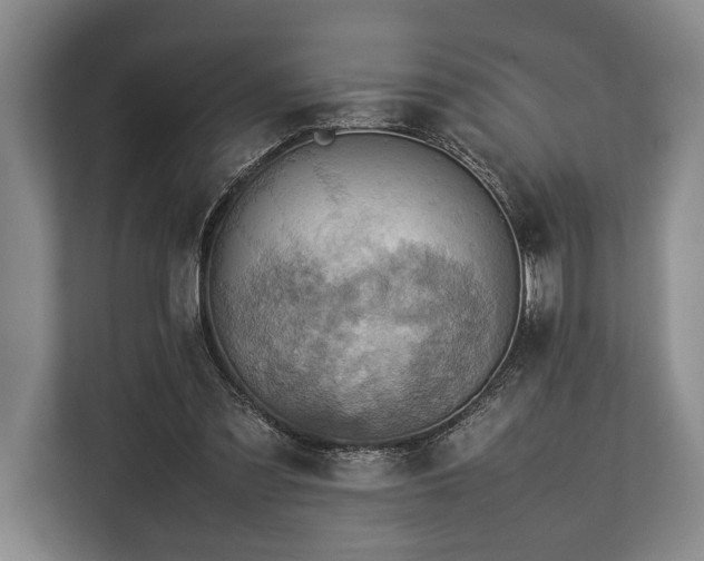 X0000113780301200909231321