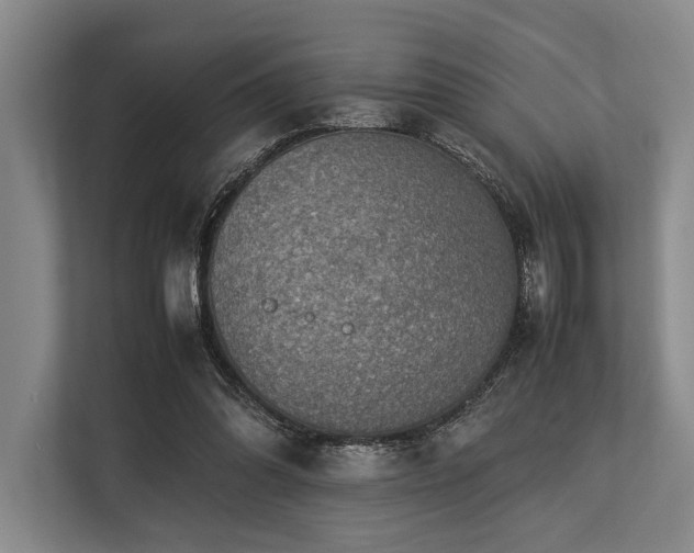X0000113780302200909231321