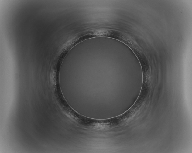 X0000113780303200909231321