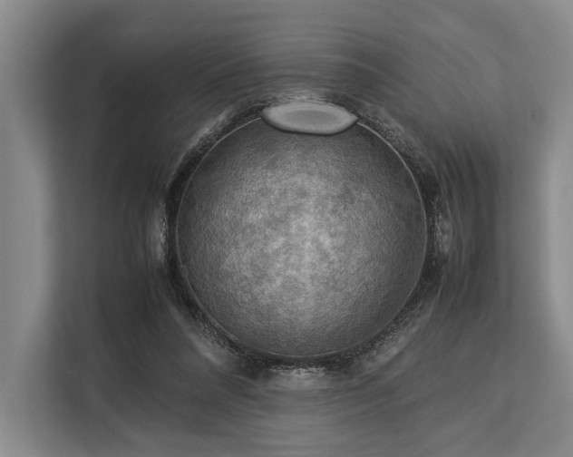 X0000113780304200909231321